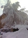 Nevicata A Mondovì